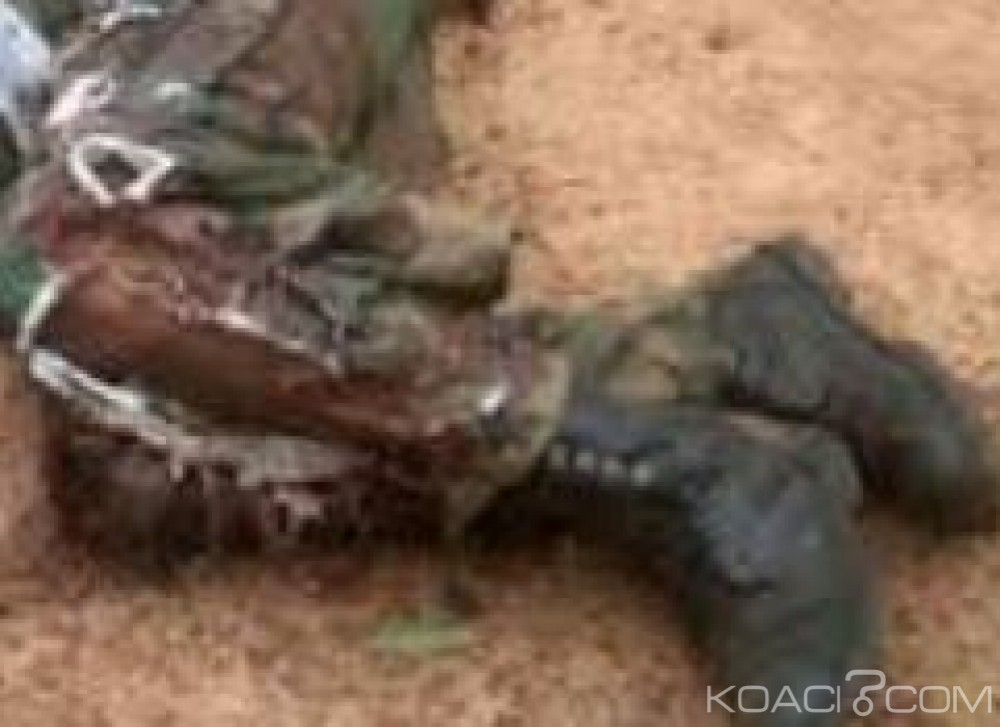 Cameroun: Au moins 25 djihadistes de Boko Haram tués par l'armée camerounaise