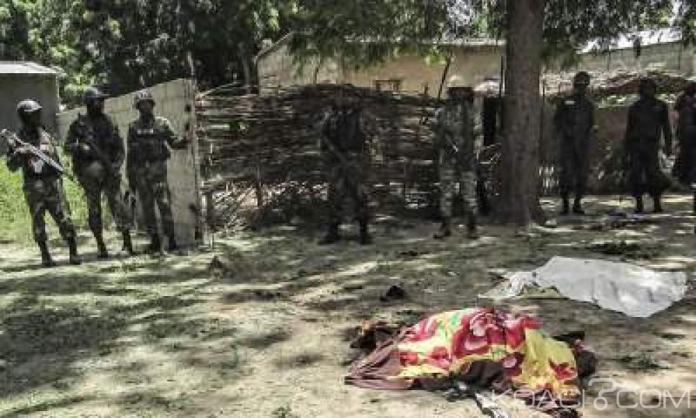 Cameroun : Une dizaine de djihadistes tués par l'armée dans des combats