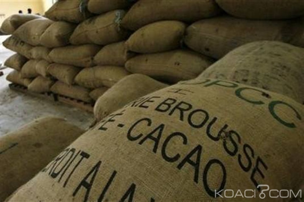 Ghana: Importation du cacao ivoirien démentie