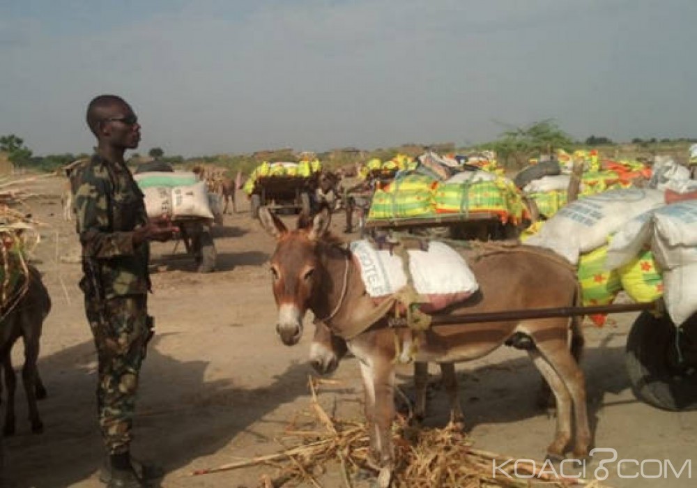 Cameroun:  Une cellule de ravitaillement de Boko Haram  démantelée à  Fotokol