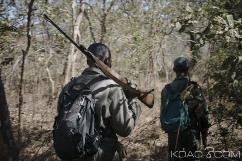 Zimbabwe : Deux italiens abattus par erreur lors d'une patrouille anti-braconnage