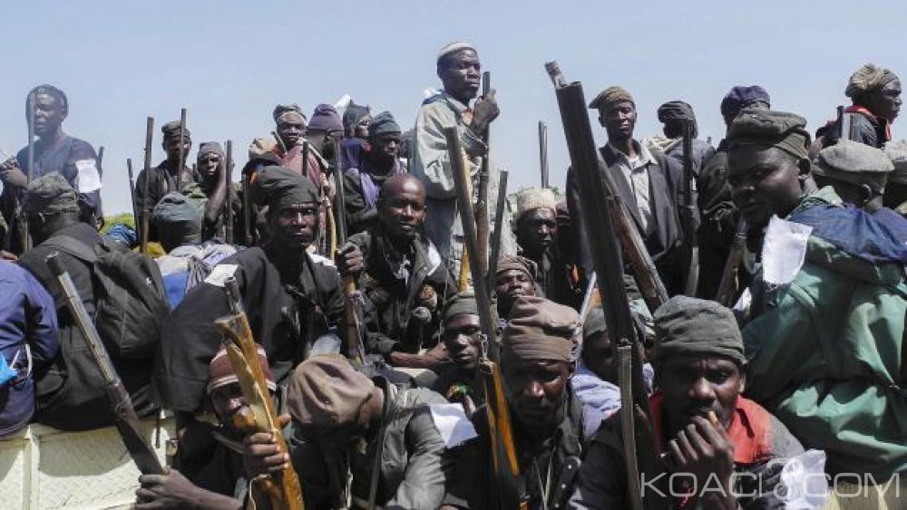 Nigeria: Une mine  posée par Boko Haram fait trois morts