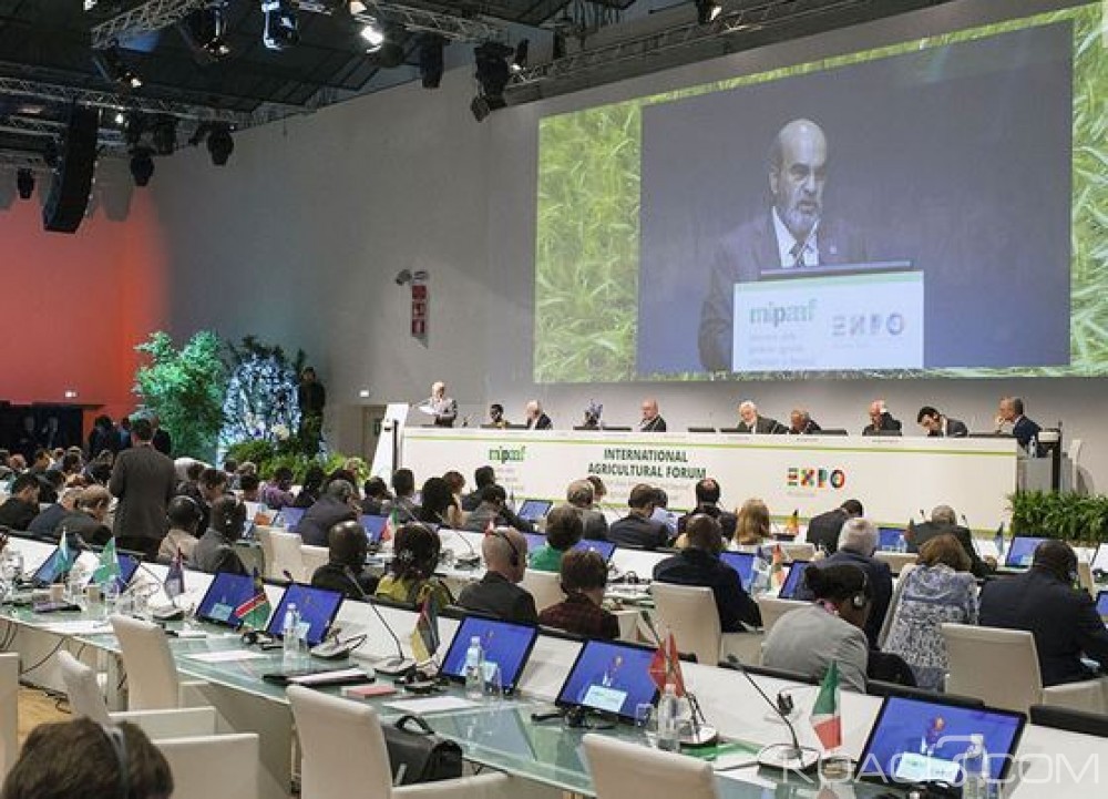 Côte d'Ivoire: La FAO tiendra du 4 au 8 avril sa conférence régionale pour l'Afrique à  Abidjan