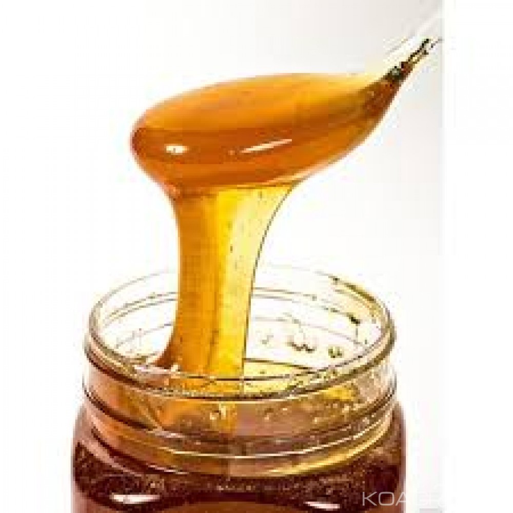 Koacinaute: Le miel, un remède millénaire