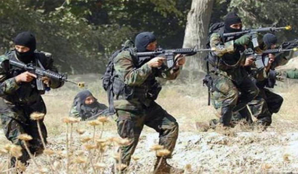 Algérie: Quatre terroristes éliminés près de la frontière tunisienne