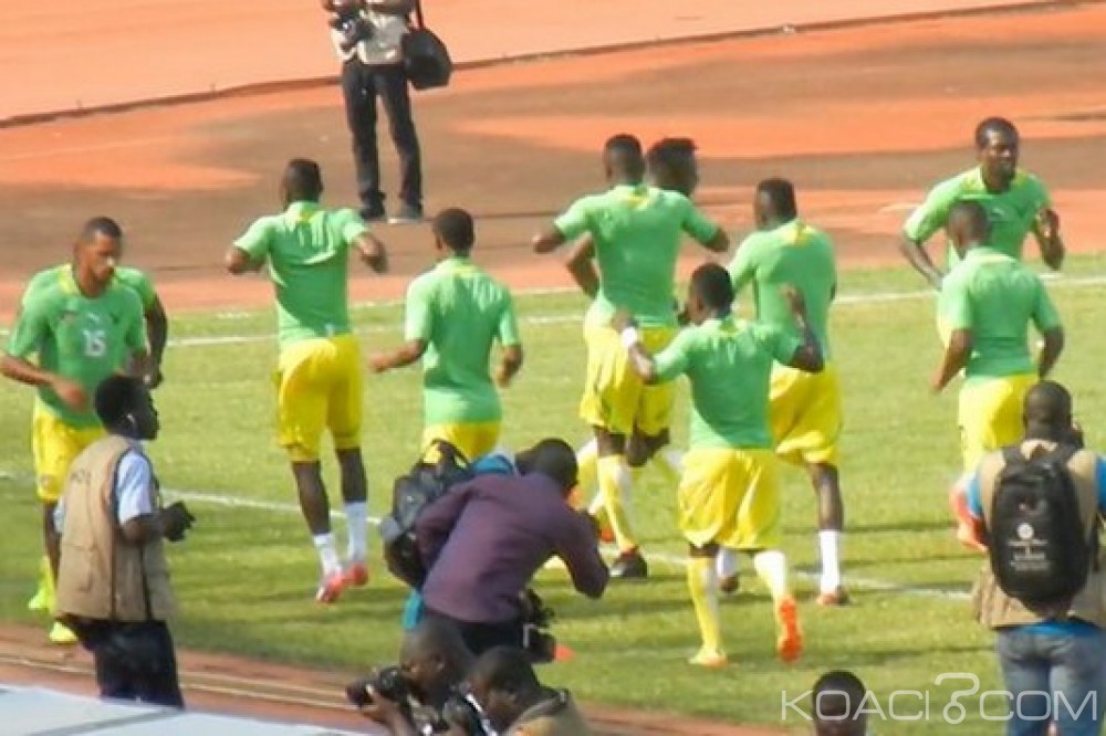 Togo : Eperviers : Deux matchs amicaux, rencontre Le Roy-Adébayor en vue