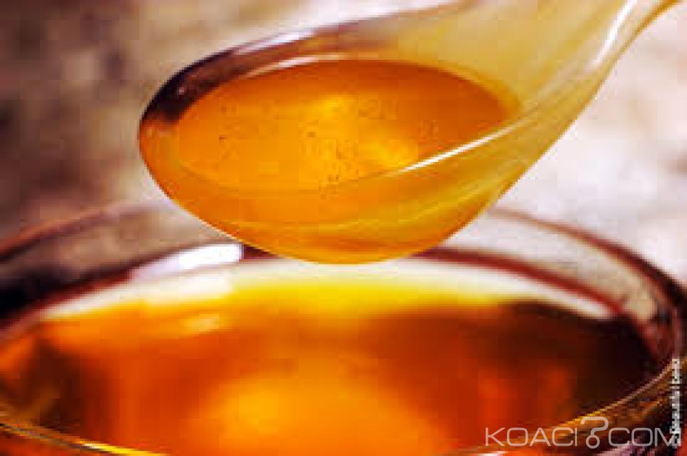 Koacinaute: Le miel avec du curcuma le meilleur antibiotique naturel