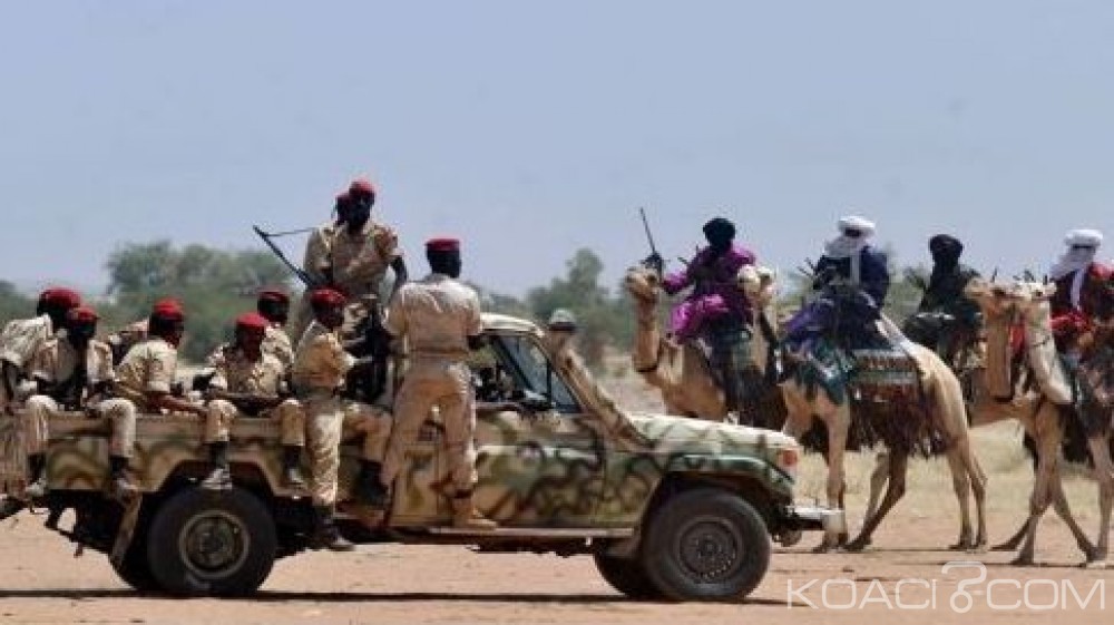 Niger: Etat d'urgence prolongé  de trois mois à  Diffa