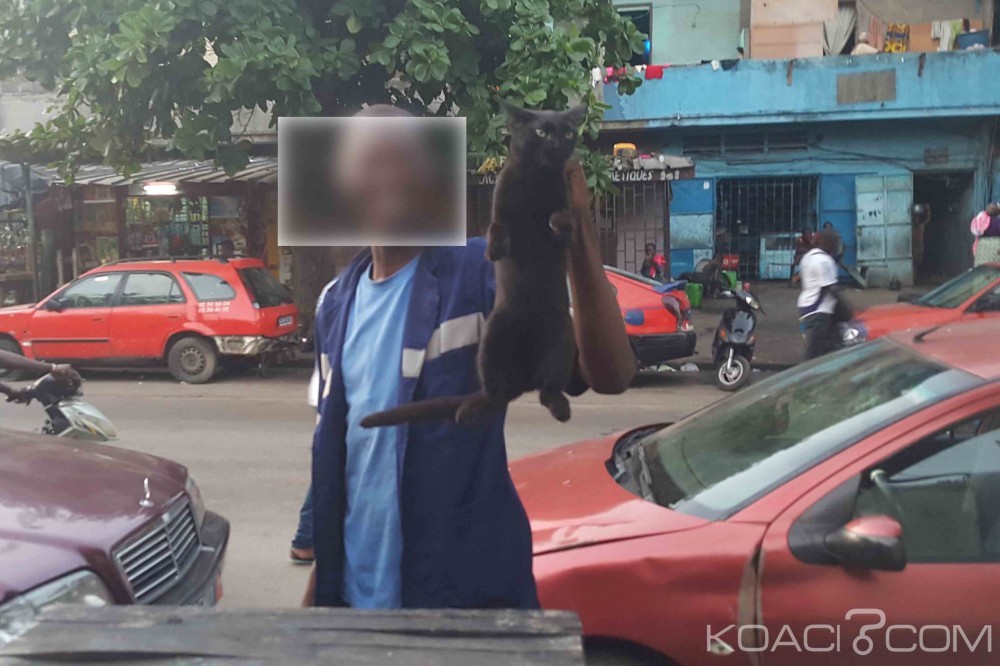 Côte d'Ivoire: Un voleur de chat pour la sauce passé à  tabac