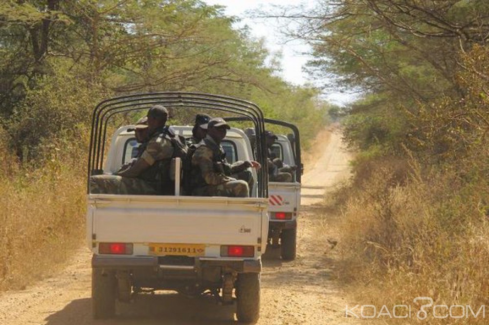 Cameroun:  Mora, 2 kamikazes trouvent la mort sans faire de victimes au sein de la population