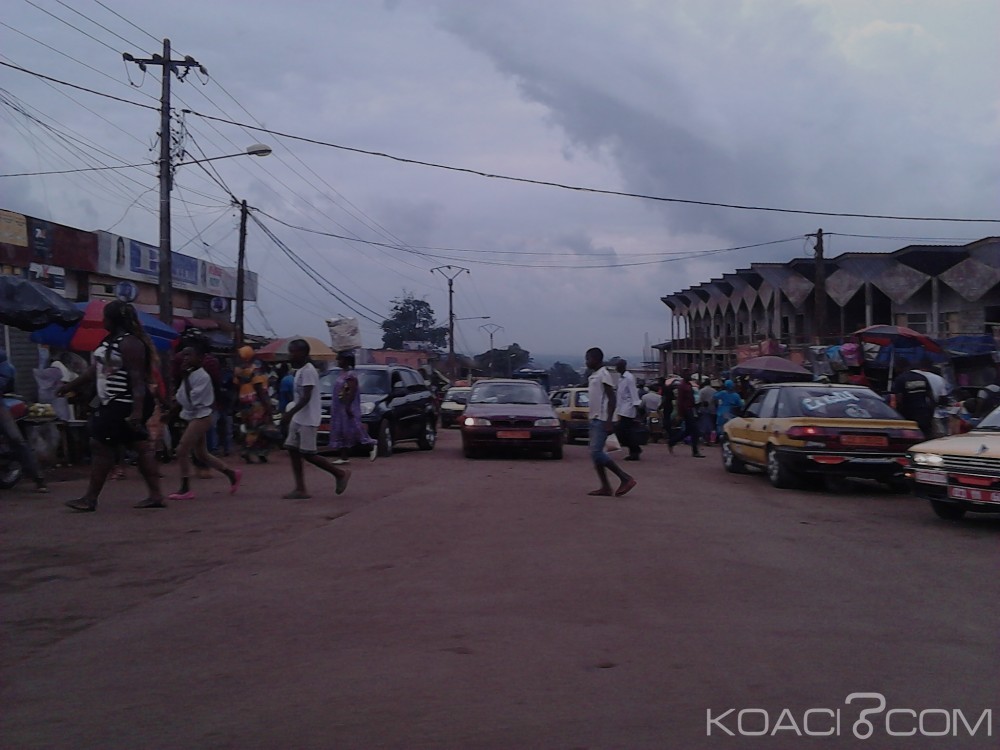 Cameroun: 53 camerounais expulsés de Guinée équatoriale