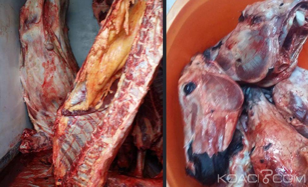 Sénégal: La commercialisation de la viande d'à¢ne sème une panique générale dans le pays