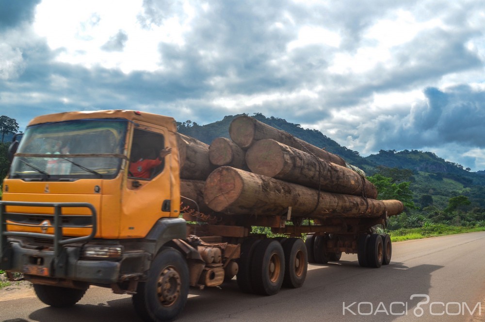 Côte d'Ivoire: Danané, fermeture de l'usine du groupe Thanry, le PV d'un huissier contredit le rapport du ministère des Eaux et Forêts