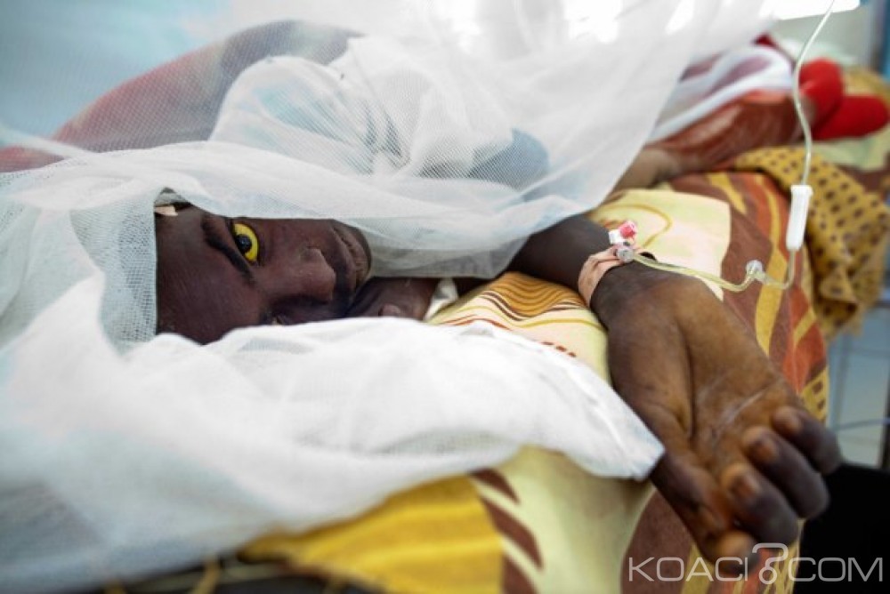 Angola: La fièvre jaune fait plus de 300 morts en cinq mois