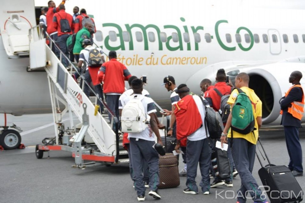 Cameroun : Classement Fifa, les Lions indomptables progressent de 5 points