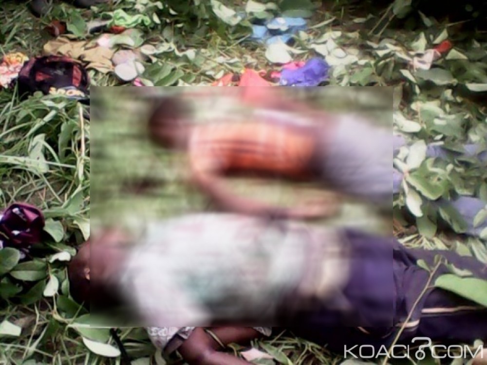 Cameroun: Touboro, deux présumés coupeurs de route tués par l'armée