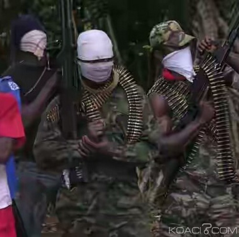 Nigeria: Des rebelles du  JNLDF menacent de s'attaquer aux infrastructures