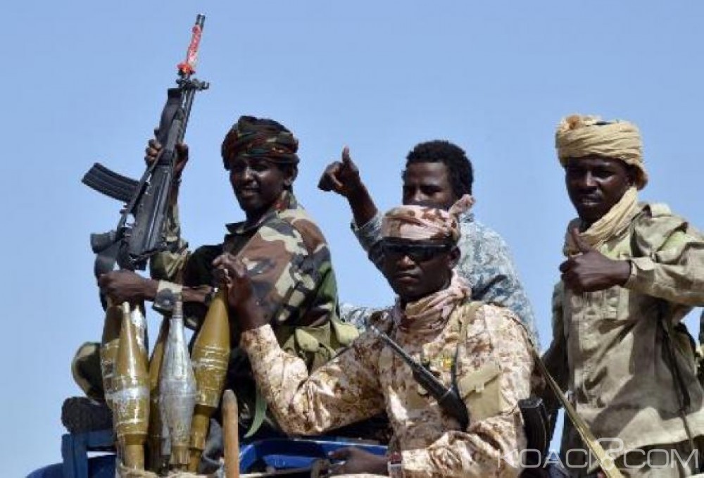 Niger: N' Djamena déploie 2000 soldats lourdement armés pour combattre Boko Haram