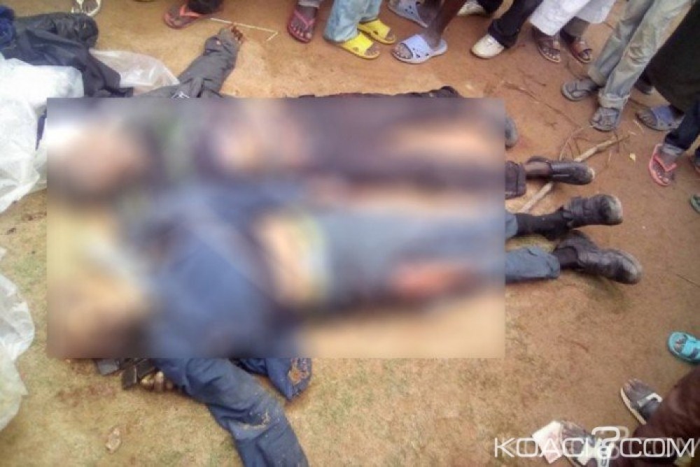Cameroun: Touboro, une trentaine de coupeurs de route abattus, 10 armes de guerre et des milliers de munitions saisies