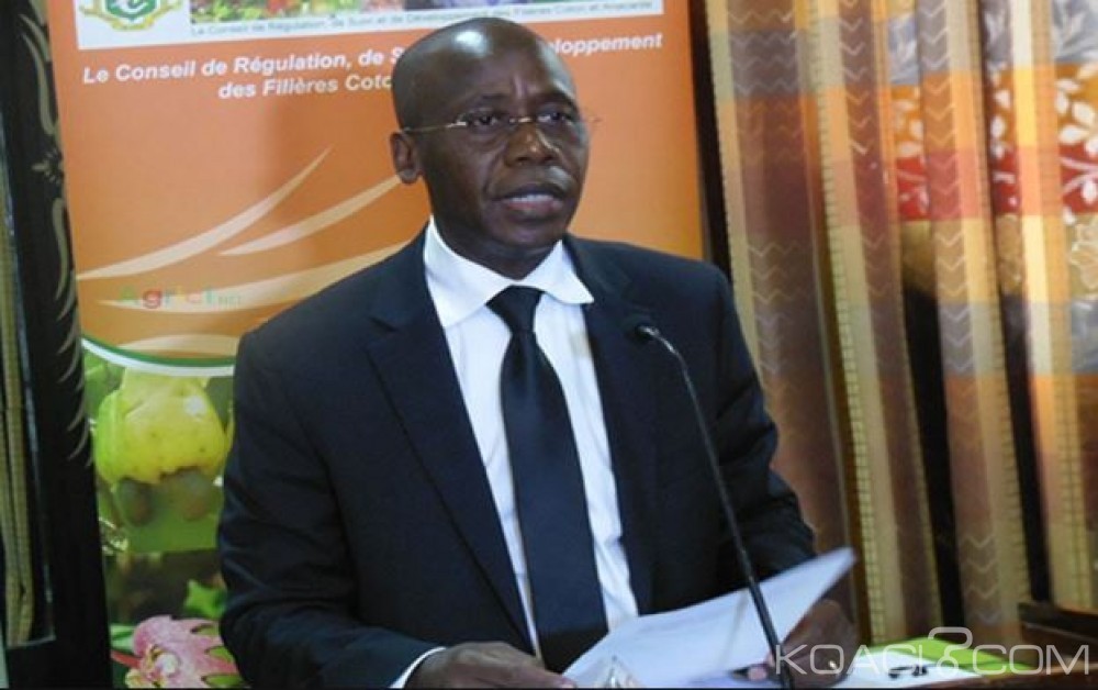Côte d'Ivoire: «Détournement dans la filière anacarde», précisions sur un des adjoints «limogé»