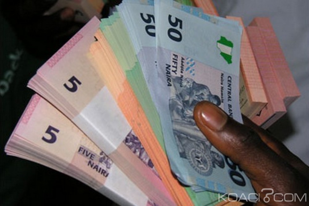 Nigeria: Le Naira dévalué