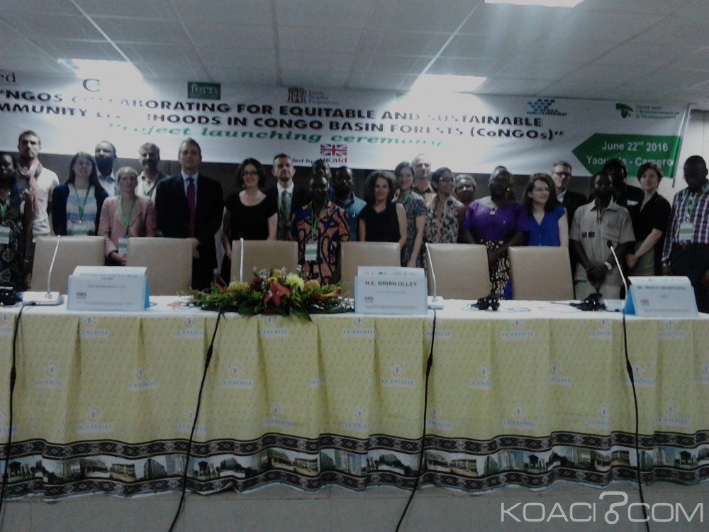 Cameroun: Bassin du Congo, des ONGs mobilisent près de 3 milliards de FCFA pour sauver les populations forestières
