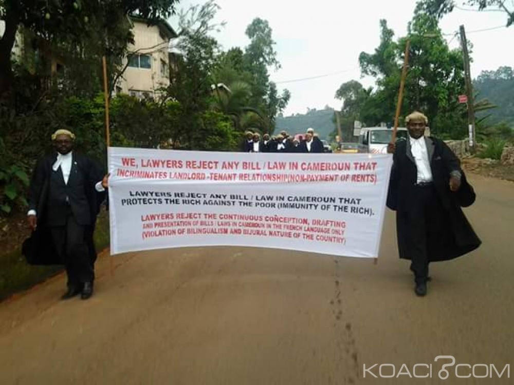 Cameroun: Bamenda, les avocats manifestent contre le nouveau Code pénal