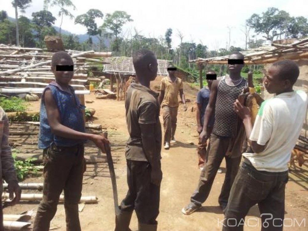 Côte d'Ivoire: Un homme en provenance du Togo pris à  Noé avec des  enfants, qui devaient être des manoeuvres à  Adiaké