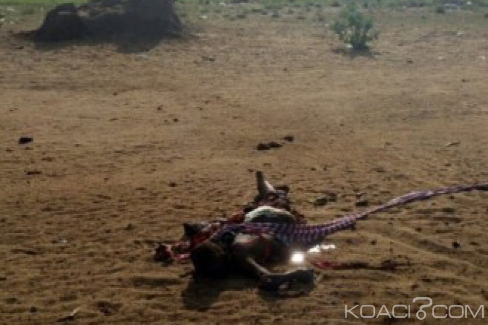 Nigeria:  L'armée déjoue un  triple attentat à  Monguno, deux femmes kamikazes abattues