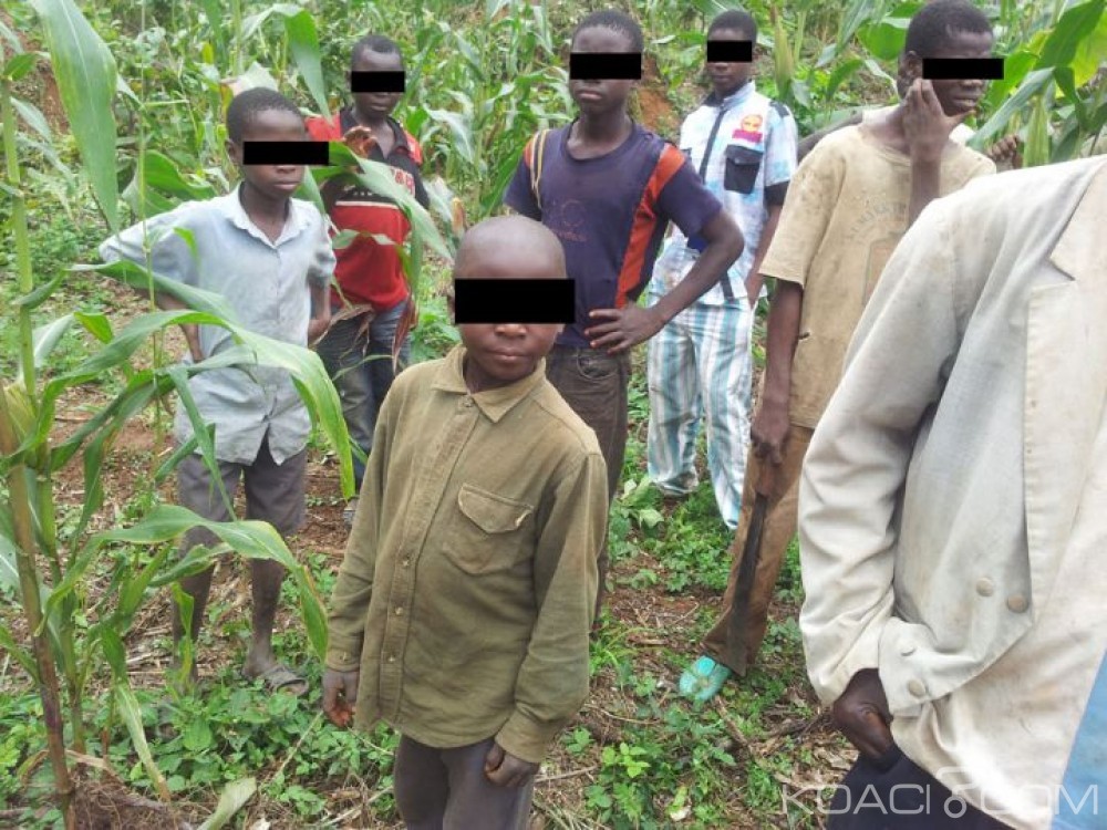 Côte d'Ivoire: L'homme en provenance du Togo pris à  Noé avec des enfants, condamné à  un an de prison
