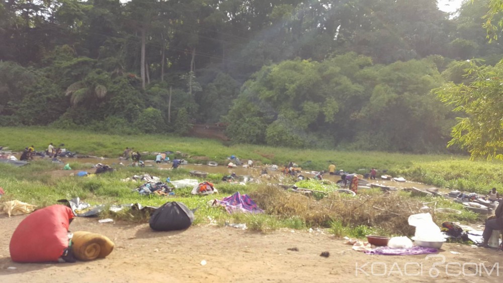 Côte d'Ivoire: Yopougon, le corps d'un homme découvert nu dans une plantation de banane