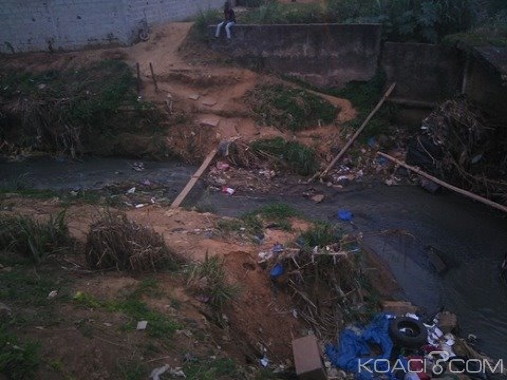 Côte d'ivoire: Abidjan, à  chaque commune son «4ème pont» à  péage