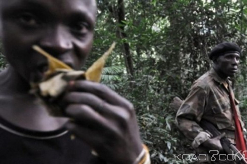 RDC:  Une position de l'armée attaquée  par des rebelles hutus,  deux morts