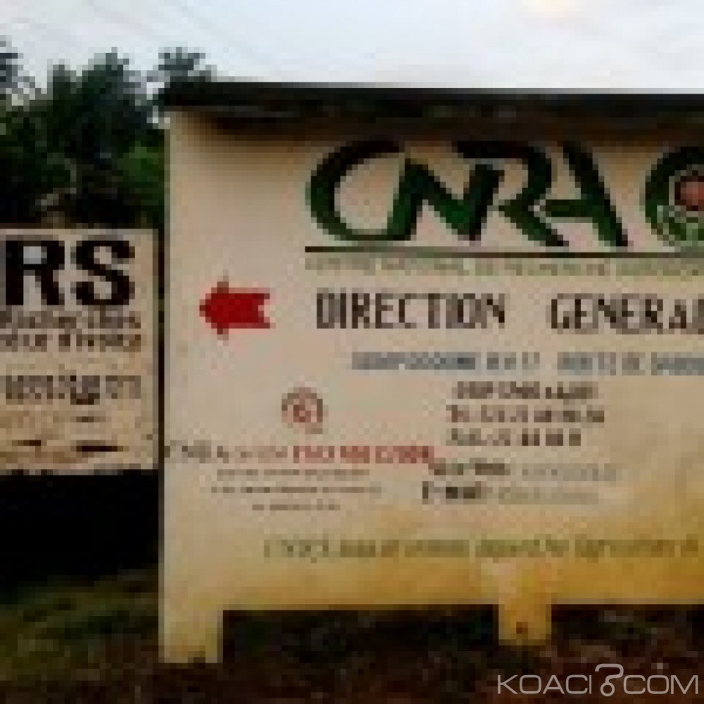 Côte d'Ivoire: Braquage au CNRA, une grosse somme d'argent et des matériels informatiques emportés
