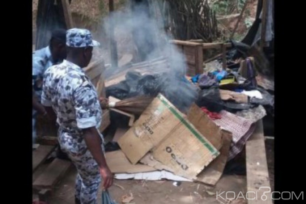 Côte d'Ivoire: La police détruit les fumoirs construits dans la forêt du Banco