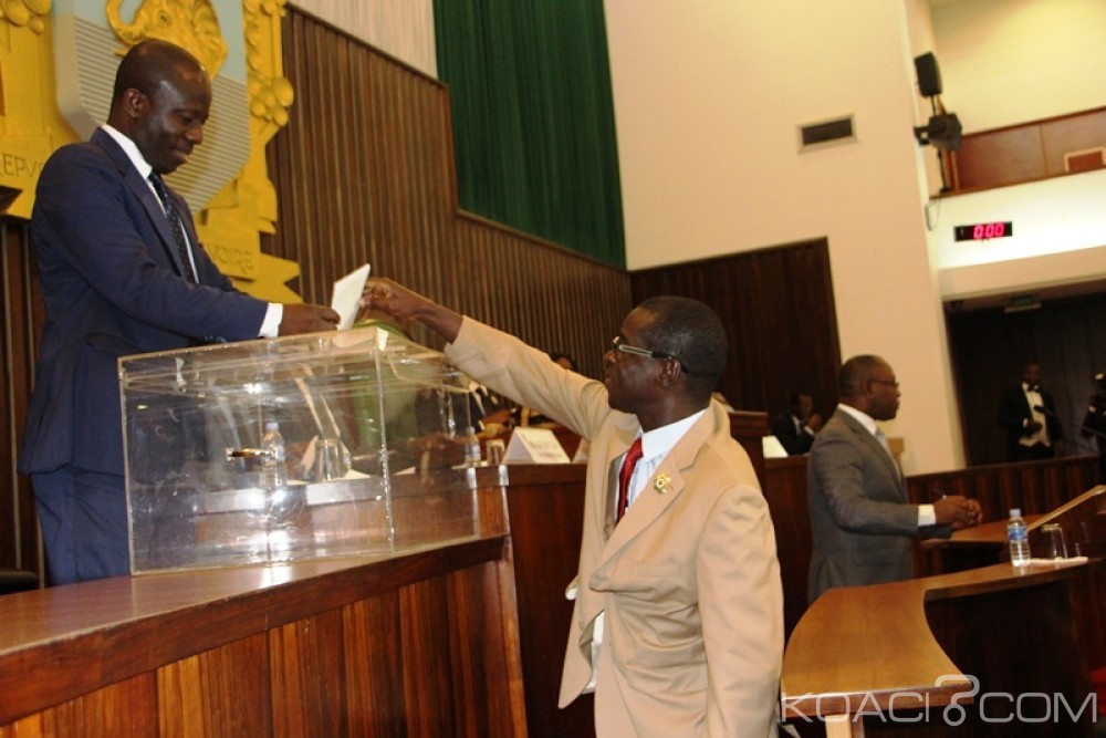 Côte d'Ivoire: Les députés donnent leur «OK»  pour le referendum sur la nouvelle constitution, la bataille du «Oui» ou du «non» désormais engagée
