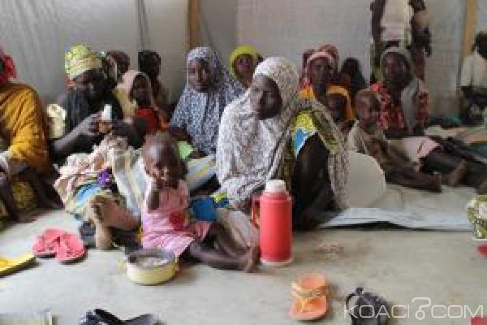 Nigeria: Situation sanitaire « désastreuse » dans le nord-est , MSF tire la sonnette d'alarme