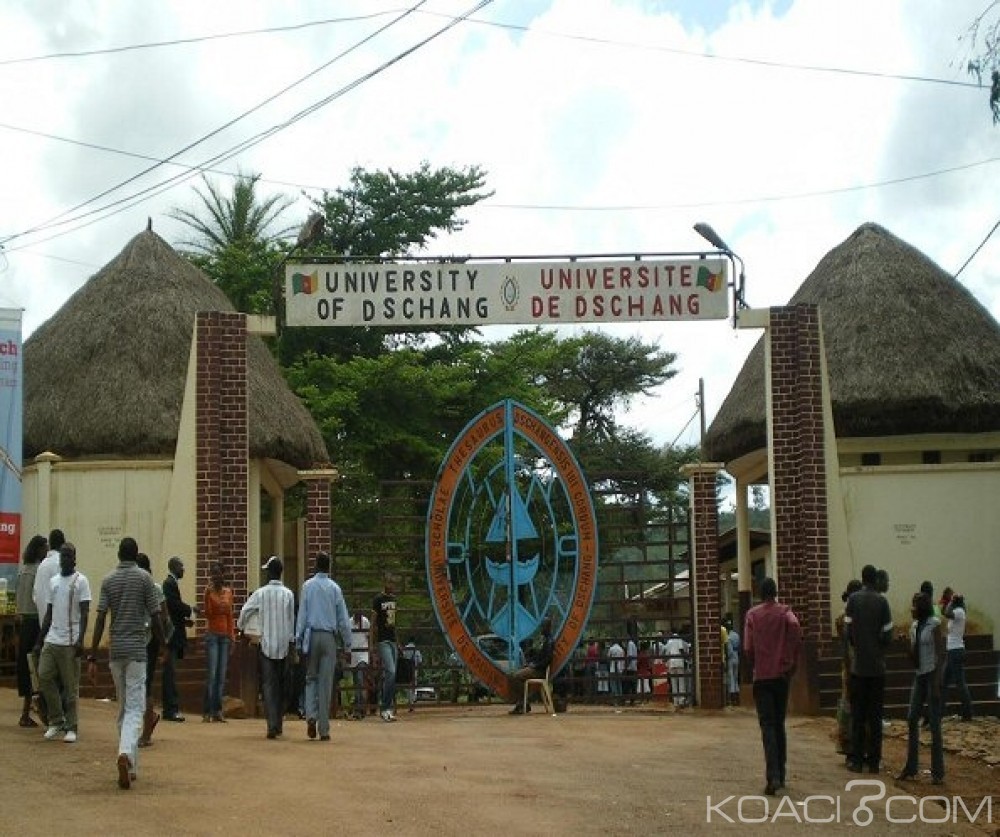 Cameroun: Classement des universités africaines sur internet, le Cameroun au 102e rang