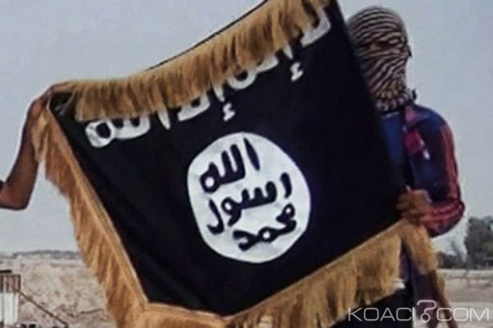 Égypte: Le leader de la branche de l'Etat islamique abattu près d'Al Arich