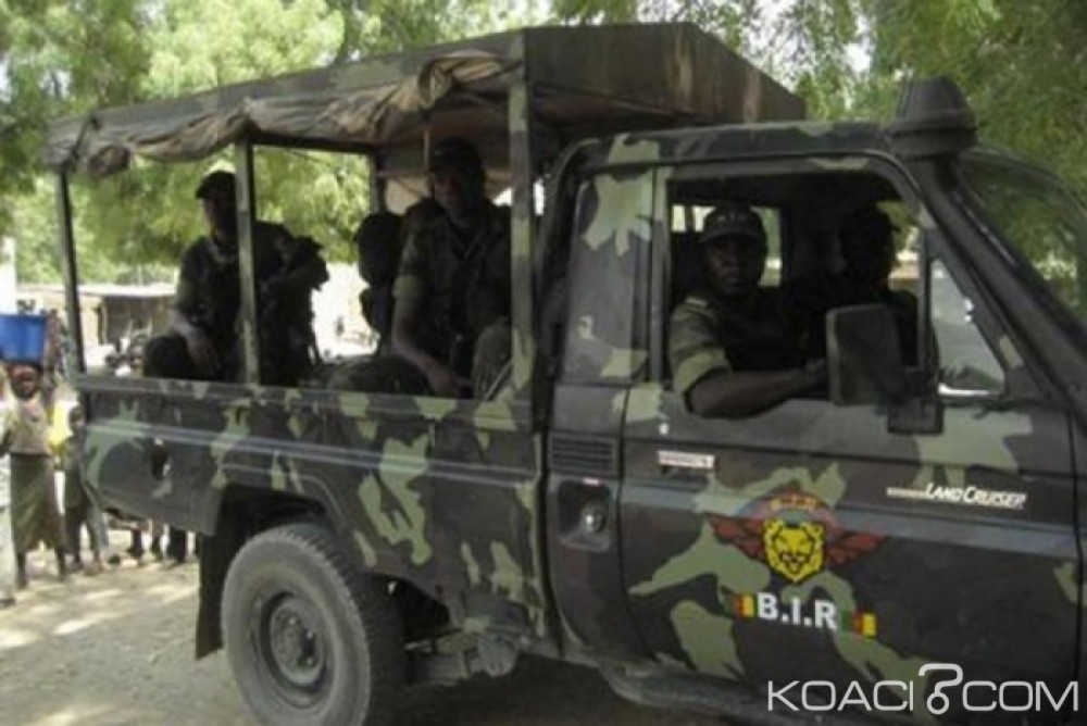 Cameroun: Au moins 6 morts dans une attaque attribuée à   Boko Haram dans le Mayo-Sava