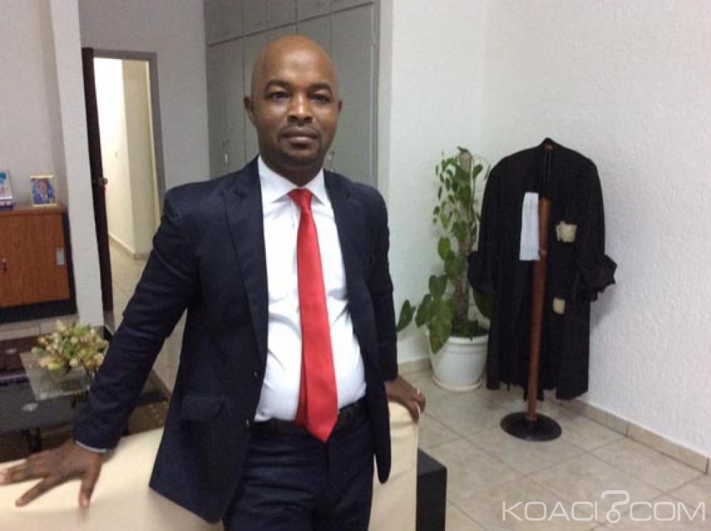 Côte d'Ivoire: Nouvelle constitution, ce que le PDCI a réellement dit au comité des experts