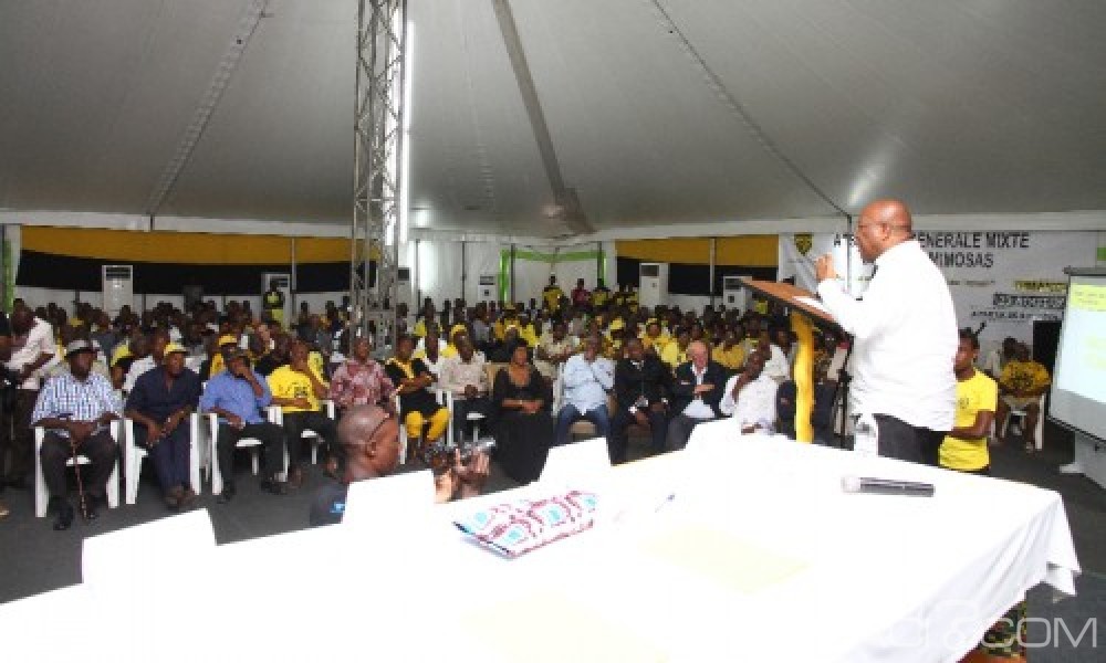 Côte d'Ivoire: AG élective de l'Asec, après 27 ans, Ouegnin candidat unique à  sa propre succession