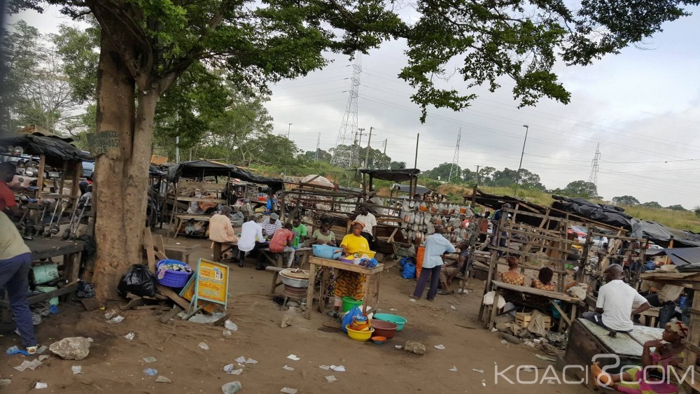 Côte d'Ivoire: En train de dîner, un papayer tombe sur un groupe d'enfants, un mort