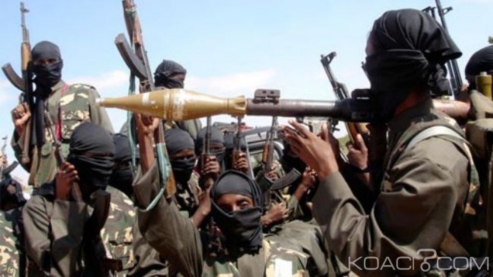 Nigeria: Opération «Sourire du Crocodile», un groupe rebelle  vandalise  un oléoduc  en représailles