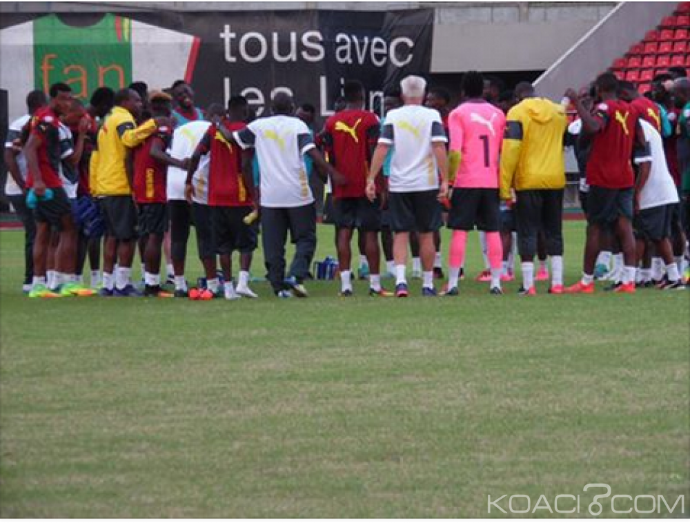 Cameroun: Eliminatoires CAN Gabon 2017, les lions gagnent et conservent la tête de leur poule