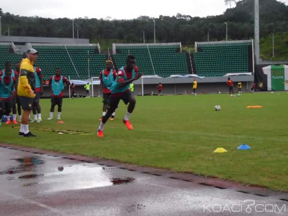 Cameroun: Match amical, les panthères  du Gabon sont arrivés à  Limbé ce lundi