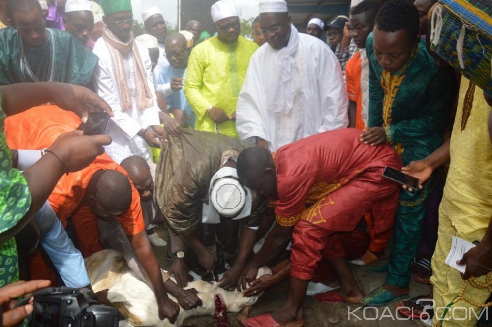 Côte d'Ivoire: La communauté musulmane fêtera la Tabaski Lundi prochain