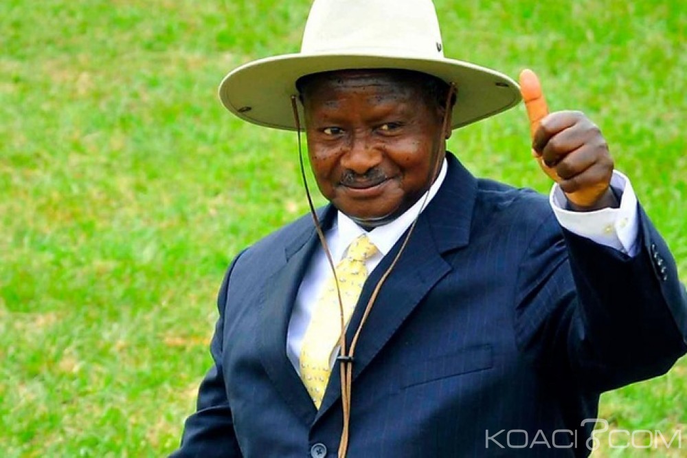 Ouganda: Trois hommes interpellés pour avoir volé des vaches du Président Museveni