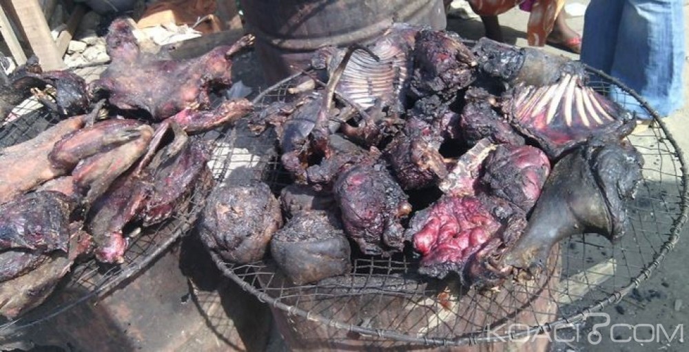 Côte d'Ivoire: Levée des mesures contre Ebola, Bouaké pas concernée encore par la viande de brousse