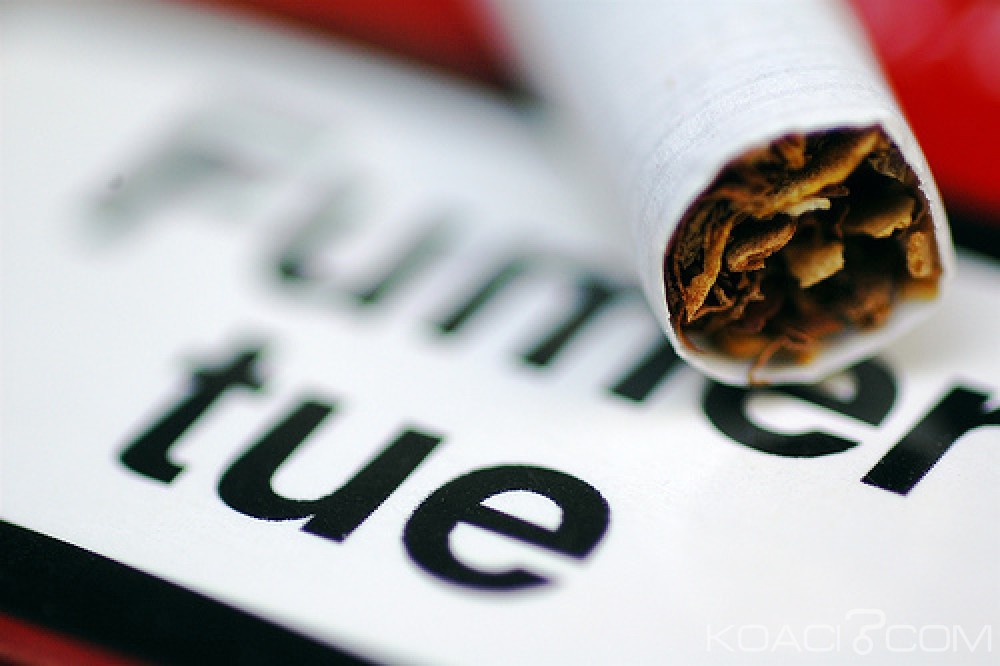 Koacinaute : Lutte contre le Tabac en Afrique,  des chercheurs déclarent que L'OMS menace la santé publique